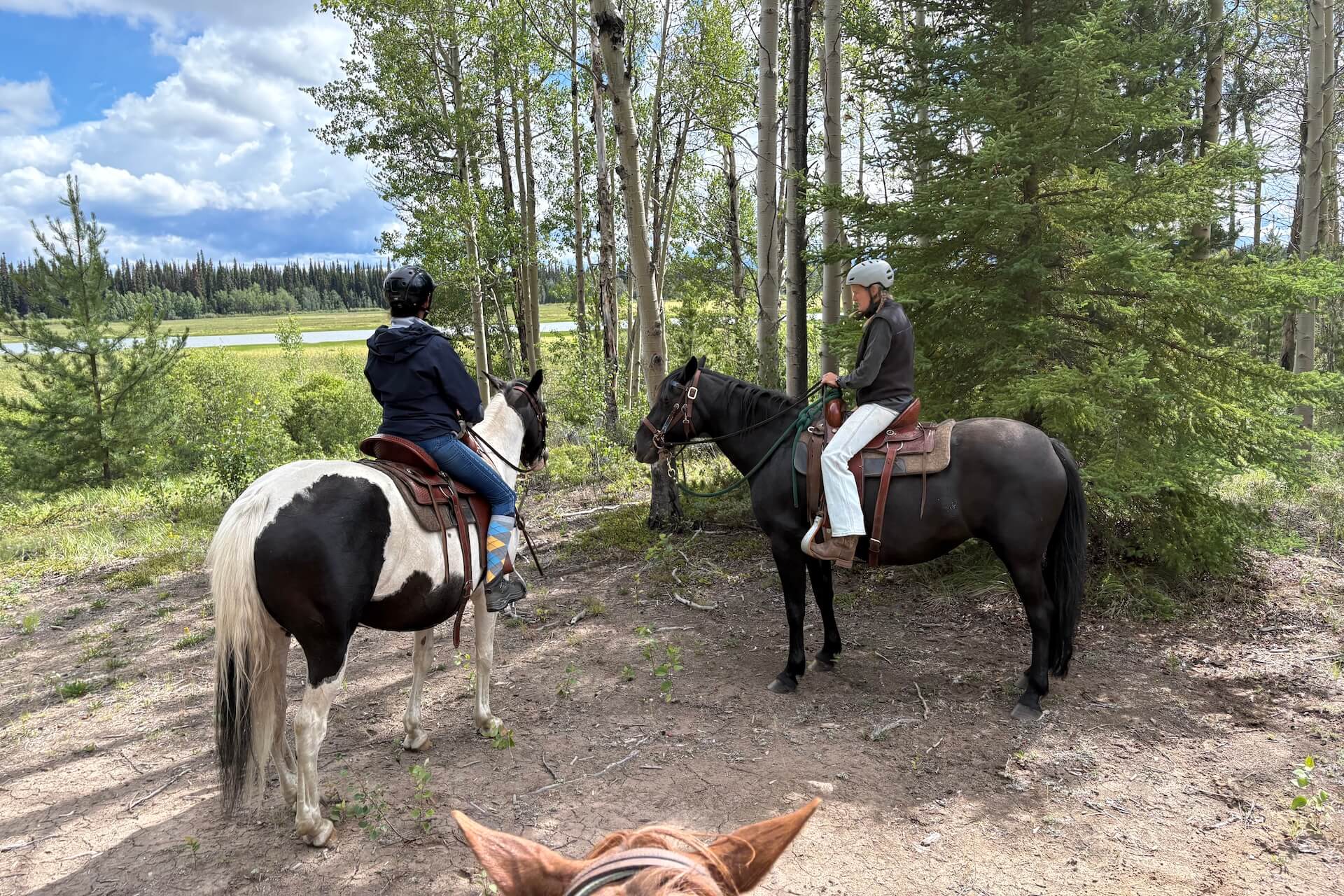 Northern Lights Red cariboo Resort in June 2024